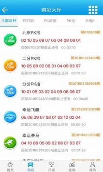 新澳门王中王100%期期中,经典解释落实_Pixel27.160