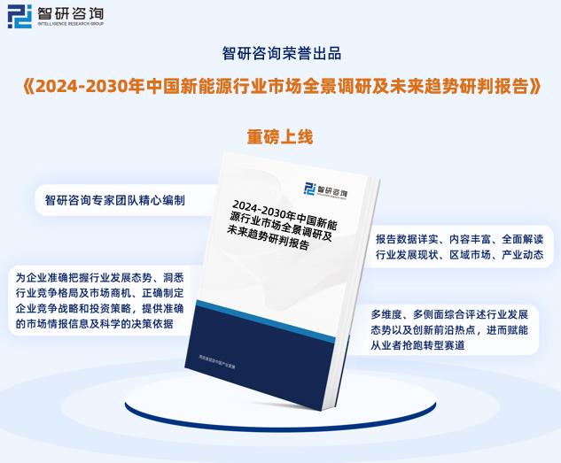 2024新澳精准正版资料,多元化方案执行策略_标配版64.125