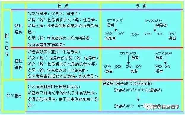 三肖必中特三肖三期内必中,功能性操作方案制定_限定版21.356