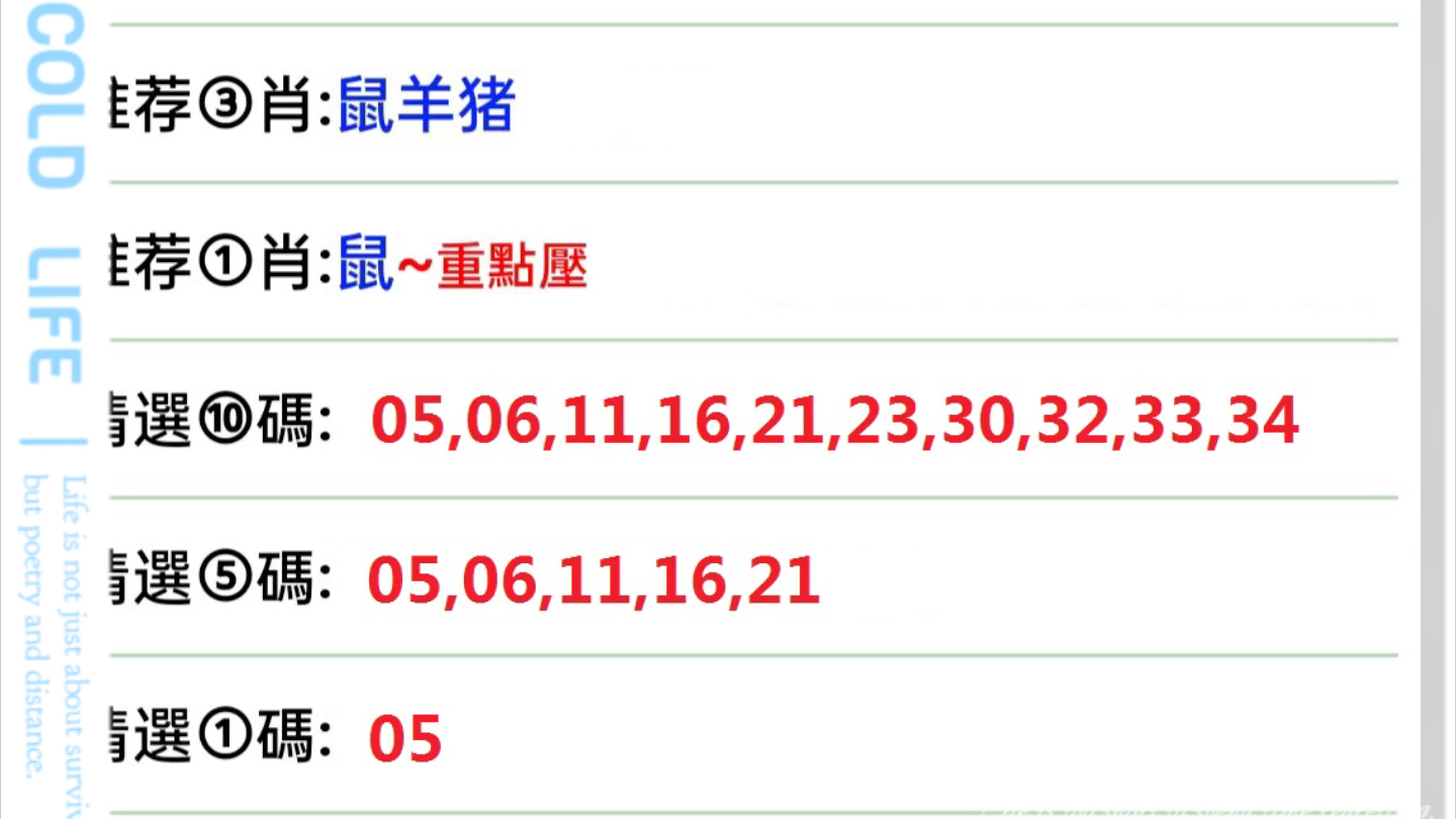 新澳门天天彩期期精准,可靠性执行方案_8K23.374