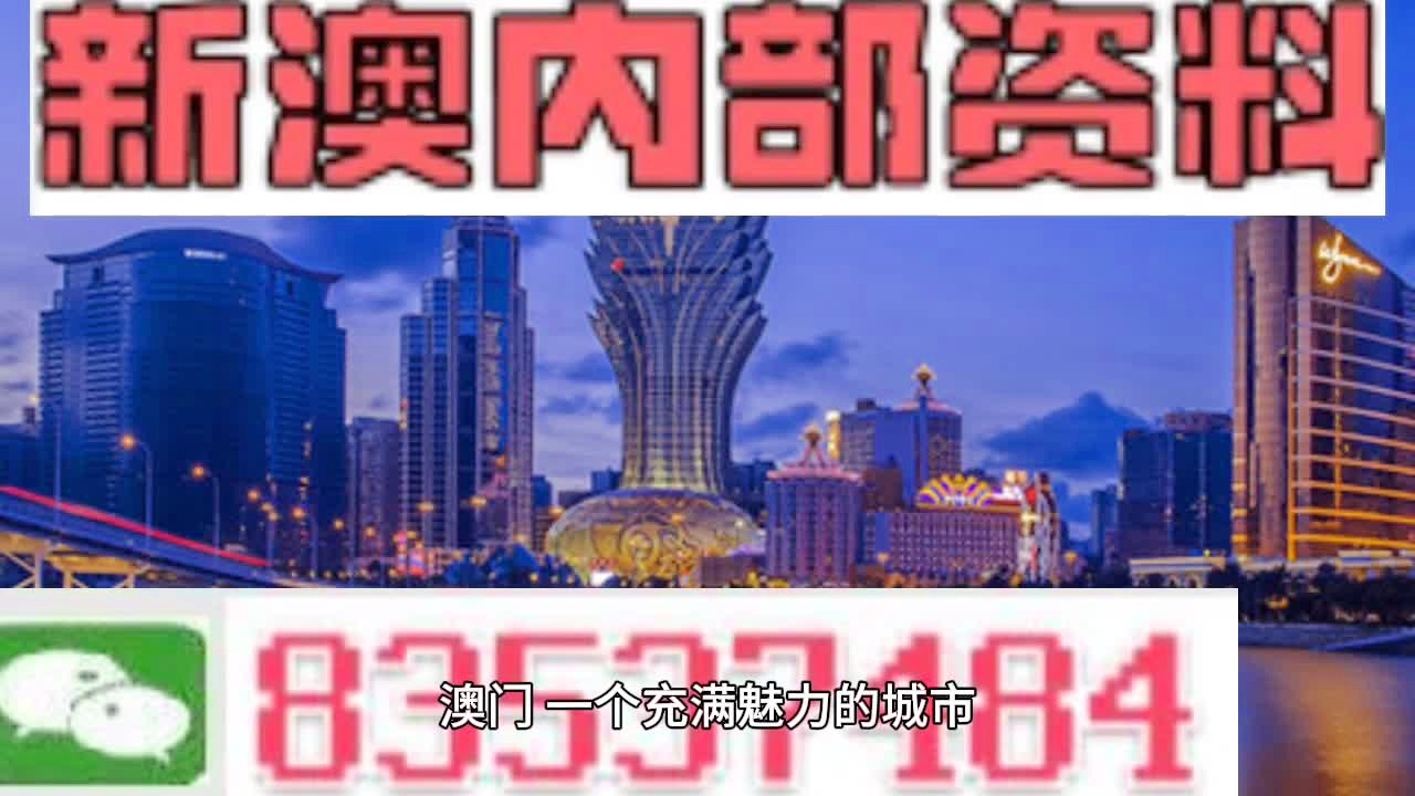 新澳门精准资料免费提供,现状解答解释定义_交互版66.599