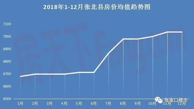 2024年12月22日 第4页