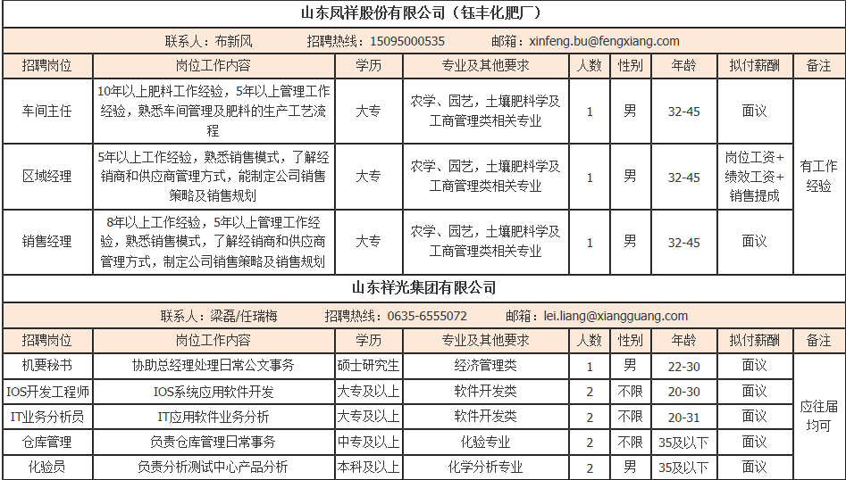 山东阳谷最新招聘信息全面概览