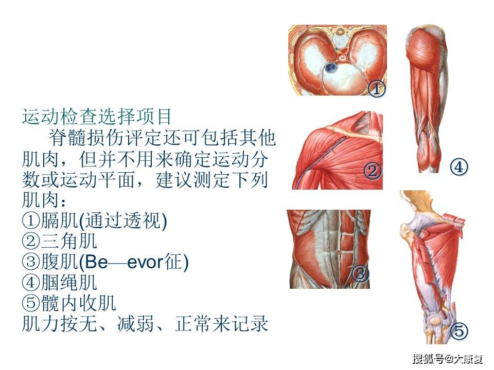 神经脊髓损伤最新治疗策略与方法探讨