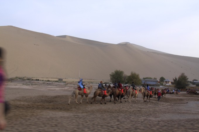 新疆壮美之旅，最新旅游游记分享，令人陶醉的旅程