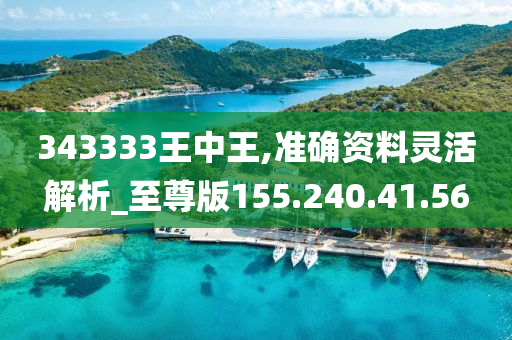 555525王中王心水高手,精细解析评估_扩展版53.847